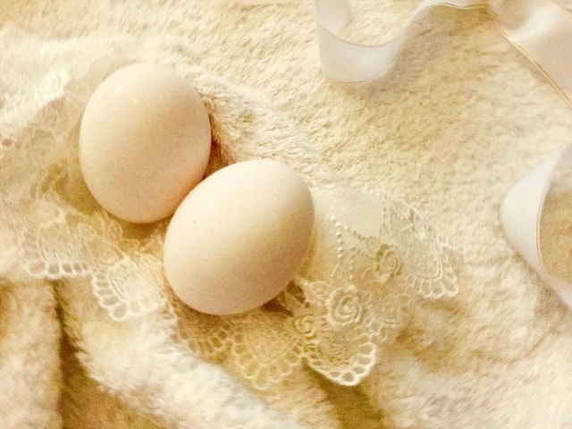 夢見る卵